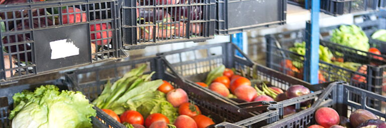 Paniers maraîchers bio Tout Naturellement